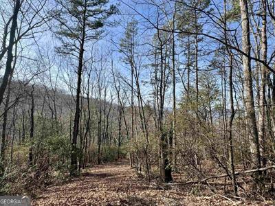 546 Matterhorn Drive, Sautee Nacoochee GA 30571