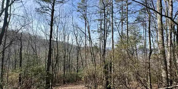 546 Matterhorn Drive, Sautee Nacoochee GA 30571