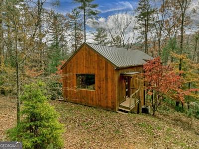 175 Big Creek Vista, Blue Ridge GA 30513