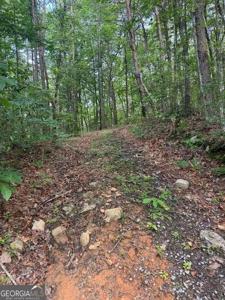 10.96 AC Paramount Trail, Ellijay GA 30536
