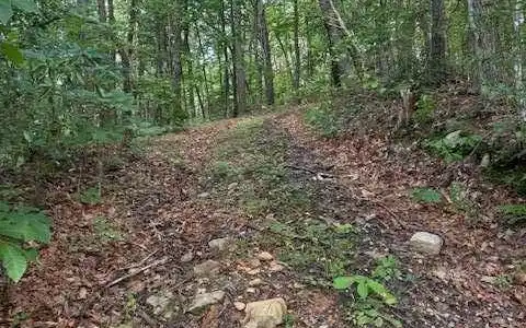 10.96 AC Paramount Trail, Ellijay GA 30536