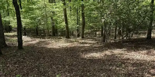 Lot 16 Mill Trace Court, Cleveland GA 30528