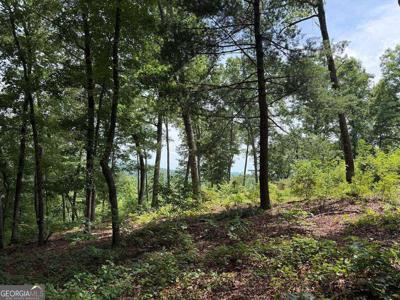 Lot 20 Lake Top Lane # 20, Ellijay GA 30540