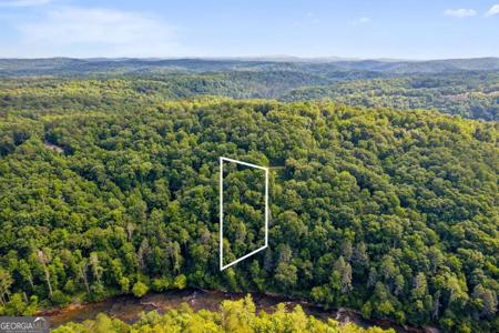 Lot 316 Flat Ridge Road, Ellijay GA 30540