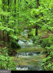 2 Brushy Mountain Road, Rockmart GA 30153