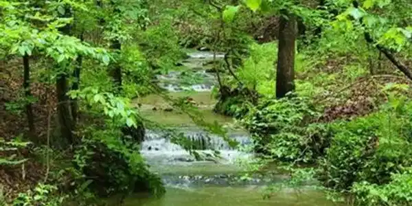 2 Brushy Mountain Road, Rockmart GA 30153
