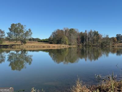 35+/- AC Hwy 109, Zebulon GA 30295