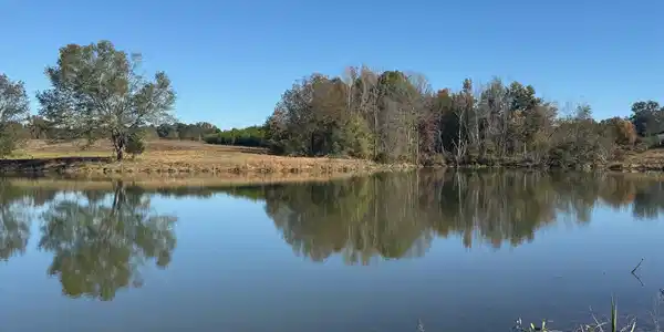 35+/- AC Hwy 109, Zebulon GA 30295