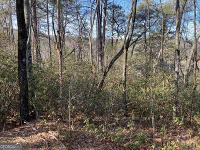 Lot 37 Whispering Dale, Clarkesville GA 30523