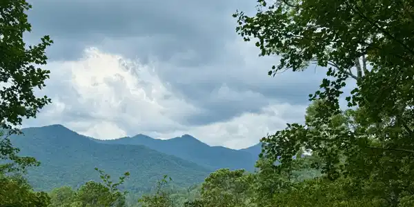 Lot 6 Raven Fork Trail, Dillard GA 30537