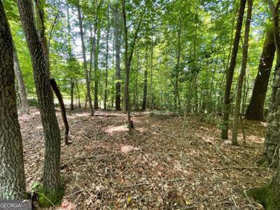 Lot 2 Mount Pleasant Ridge Road # 2, Blairsville GA 30512