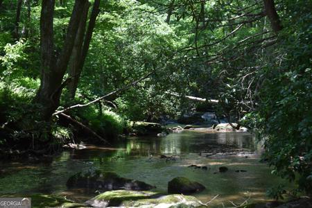 2632 Big Creek Road, Cherry Log GA 30522