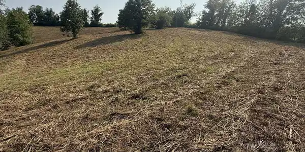 Lot 22 Ridgemont Lane, Ellijay GA 30536