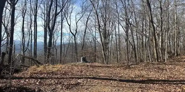 257 Andes Ridge, Ellijay GA 30536