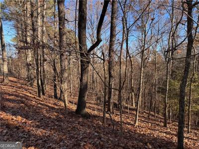 129 Adair Drive NE, Ranger GA 30734