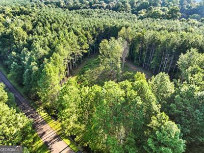 31&32 Foxpaw Leaf Lane, Ellijay GA 30536