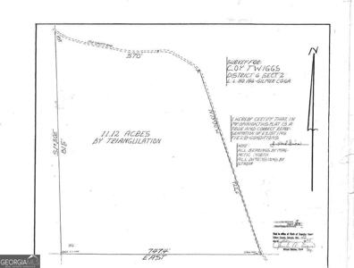 11.12 AC Lowman Road # 156, Ellijay GA 30536