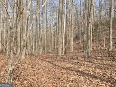 13.75 AC Caesar Gap Road, Hiawassee GA 30546