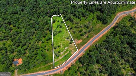 196+197 Oak Park Drive, Talking Rock GA 30175