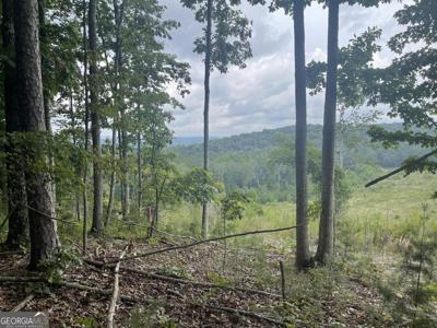 Lot 3 White Oak Road, Summerville GA 30747