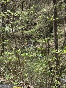 Lot 29P Laurel Branch, Dawsonville GA 30534