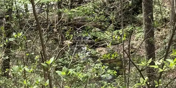 Lot 29P Laurel Branch, Dawsonville GA 30534