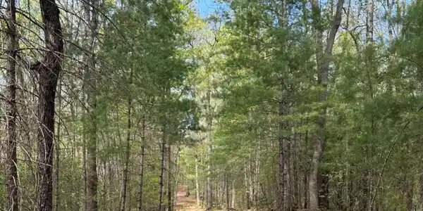 Lot 20 Big Ben Road # 20, Ellijay GA 30540