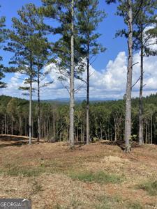 Lot 63 Lacey Springs Lane, Ellijay GA 30540