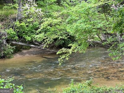 Lot 52 Madeline Way, Blairsville GA 30512