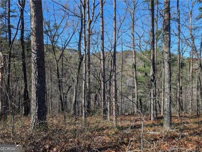 1400 Foxhound Trail NE, Ranger GA 30734