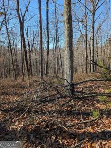 1422 Hanna Drive, Ranger GA 30734