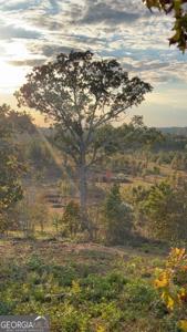 1590 Buttermilk Road SW, Cave Spring GA 30124