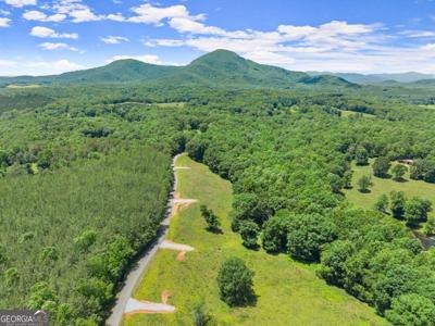 Lot 3 Arthur Allen Road, Cleveland GA 30528