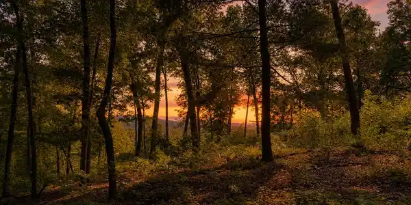 Lot 20 Lake Top Lane # 20, Ellijay GA 30540
