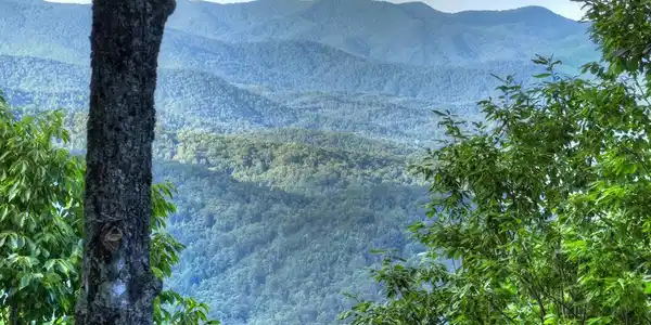 35 Utana Bluff Trails, Ellijay GA 30540