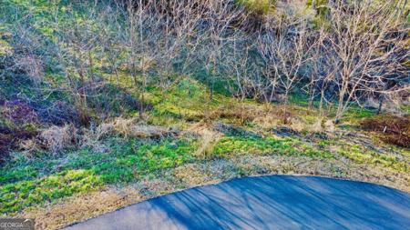 16 Ann's Way, Blairsville GA 30512