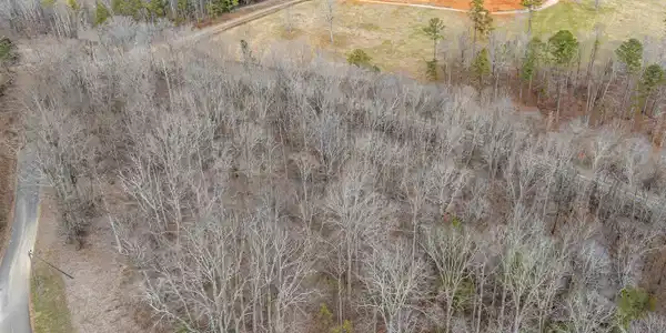 Lot 3 Cowart Mountain Tract 3 Road, Jasper GA 30143