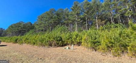 Lot 41 Deyton Drive, Blairsville GA 30512