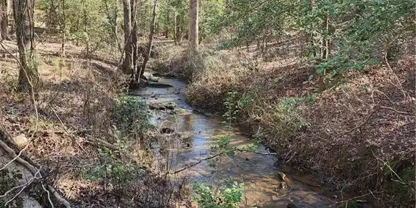 Lot 163 Lecroy Drive, Ellijay GA 30540
