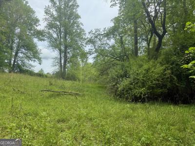 Lot 9 Peach Orchard Way, Tiger GA 30576