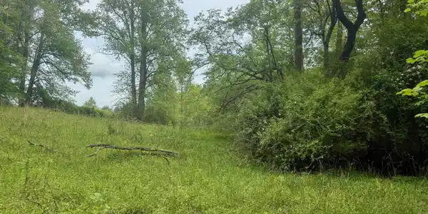 Lot 9 Peach Orchard Way, Tiger GA 30576