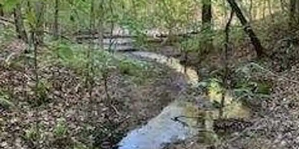 Browning Road, Rockmart GA 30153