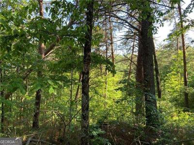 1335 Birch Lane, Ranger GA 30734