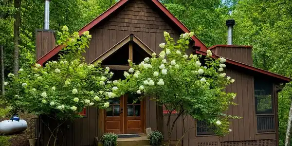 766 Laurel Ridge Drive, Blue Ridge GA 30513