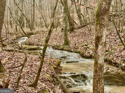 Lot 2, Dallas GA 30132 Narroway Church Circle