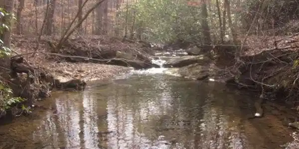 Lot N/A Sparks Way, Talking Rock GA 30175