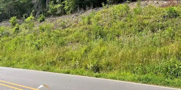 Lot 3 Fires Creek Road, Hayesville NC 28904