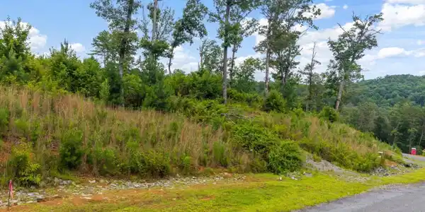 Lot 84 Jakes Landing Way, Ellijay GA 30540