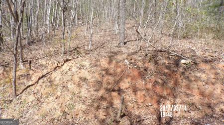 #3 Strawberry Fields, Hayesville NC 28904