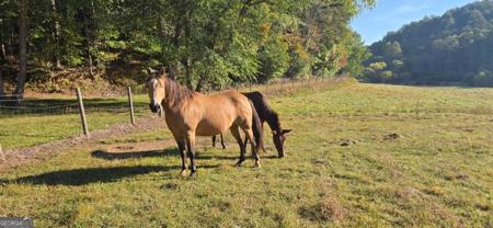 122 Black Rock Ridge, Mineral Bluff GA 30559